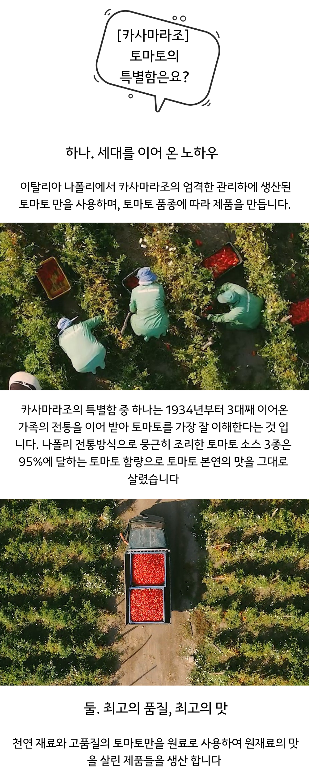 토마토 소스(산마르자노 DOPx2병, 나폴리x1병, 에르콜라노x1병)+홀 토마토(산마르자노 DOPx1캔, 나폴리x1캔) 